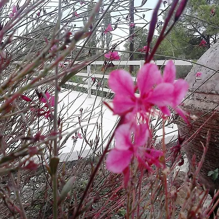 Meerithic Rokka شقة فندقية 3*