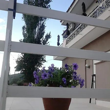 Meerithic Rokka فوروفورو