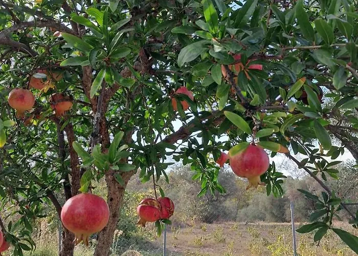 Meerithic Rokka 3* Vourvourou