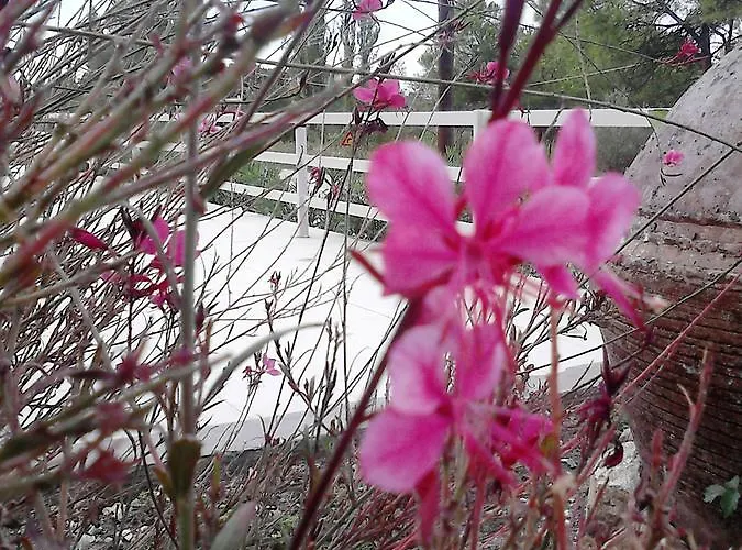 Meerithic Rokka Hotel de apartamente 3*